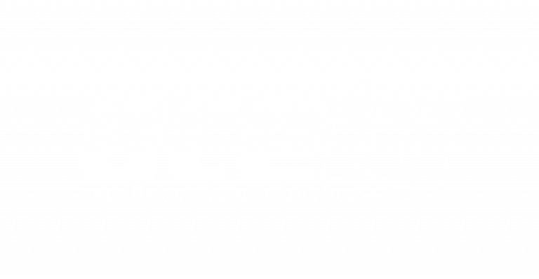 acely-logo